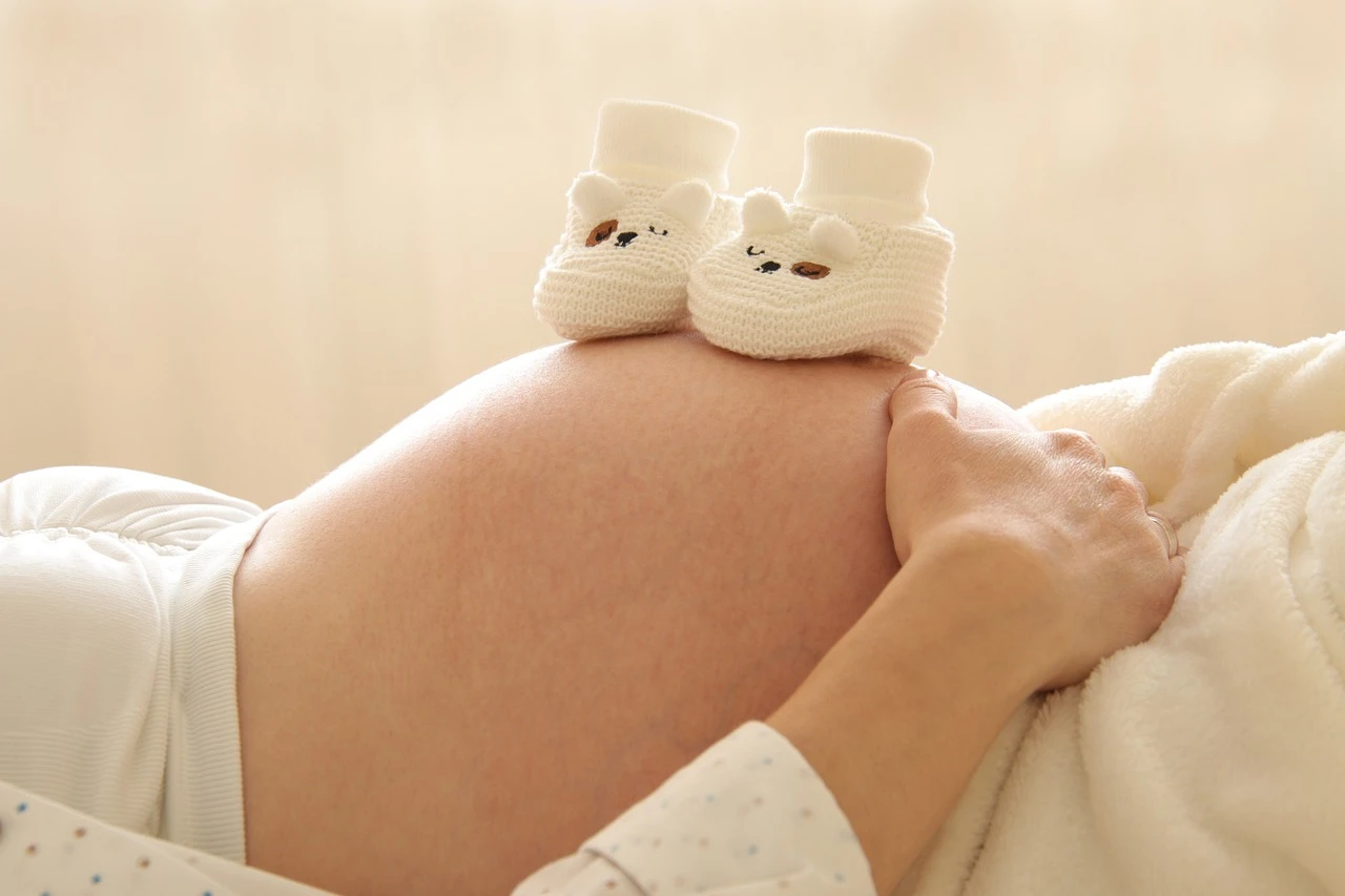 pregnant-61890401280 pregnant-61890401280
